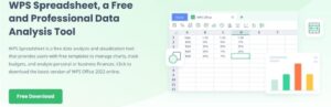 Formulas, formatting, and data, saving with WPS Office 