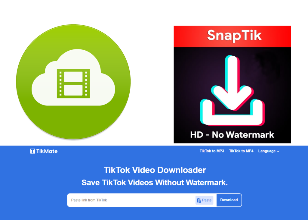 Top 3 TikTok Downloader Sites In 2023 1024x730 